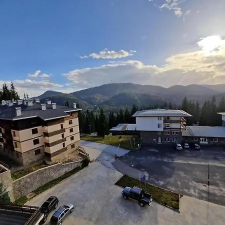 Stunning Mtn View 1-bed In