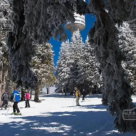 Mtn View - Sleeps4 Petok 5 Min Lift Appartement
